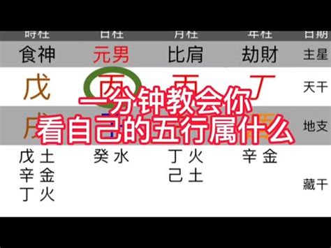 年份五行屬性|免費生辰八字五行屬性查詢、算命、分析命盤喜用神、喜忌